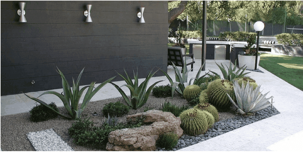 Landscape Cleanups Las Vegas